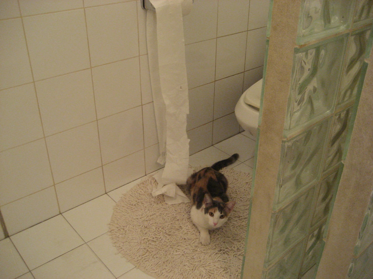 亚特兰大队员连续精彩表现，引领战绩，亚特兰大队主帅