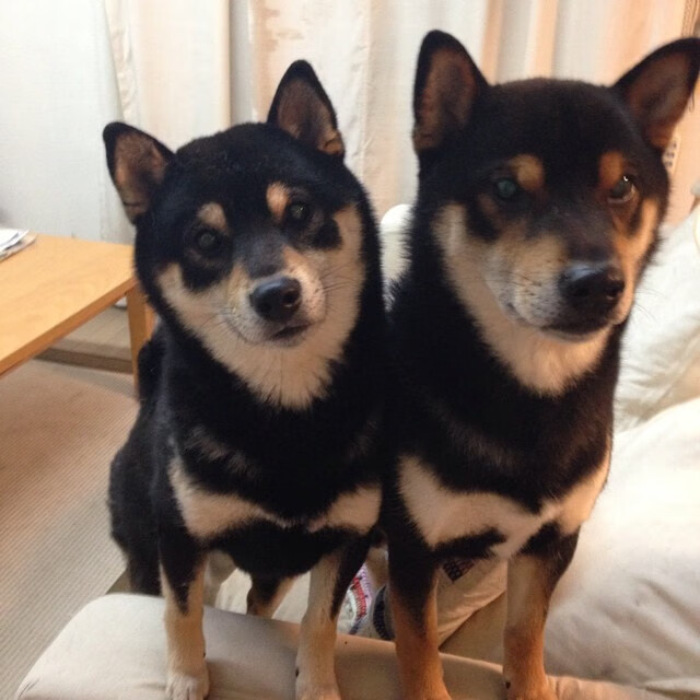 全新赛道设计：挑战极限的每一弯，赛道式比赛