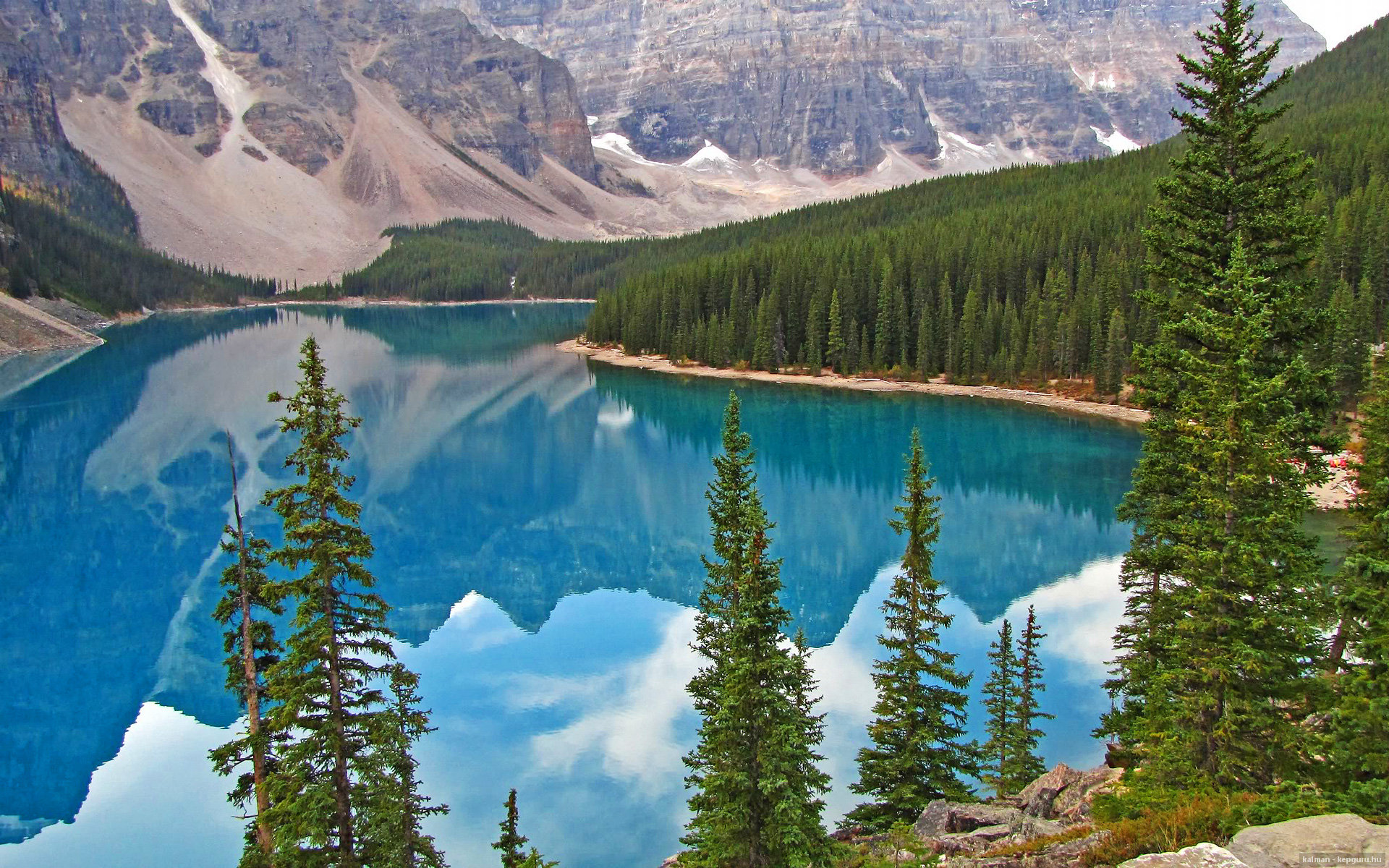 九游(jiuyou)官方网站-多元化比赛：混合性别、年龄组合的创新尝试，混合多元化例子